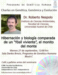 Hibernación y Biología de un «fósil viviente», el monito del monte.