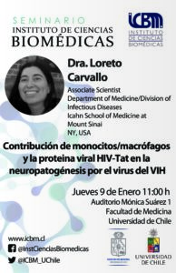 Invitacion Seminario Extraordinario ICBM: Dra Loreto Carvallo, Icahn School of Medicine at Mount Sinai