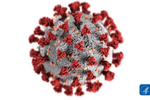 Covid-19, virus y coronavirus: nuestra dura y difícil relación con los microorganismos y los desconocidos peligros de esta convivencia