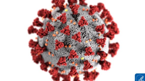 Covid-19, virus y coronavirus: nuestra dura y difícil relación con los microorganismos y los desconocidos peligros de esta convivencia