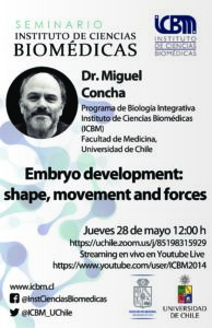 Seminario: Embryo development:  shape, movement and forces