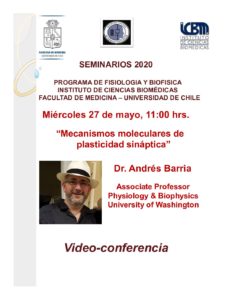 Webinar: “Mecanismos moleculares de plasticidad sináptica”