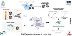 U. de Chile inicia detección masiva de anticuerpos neutralizantes del SARS-CoV2 en plasma de convalecientes de COVID-19