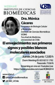 Webinar: “El envejecimiento: sus primeros signos y posibles blancos moleculares asociados»