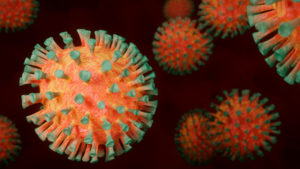 Virólogo: El coronavirus dejará de mutar, pero no sabemos cuándo; estamos en un laboratorio natural