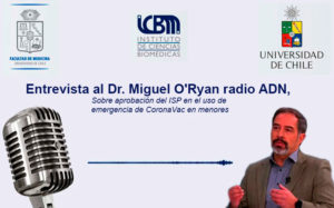 Dr. Miguel O’Ryan en radio ADN, sobre aprobación del ISP en el uso de de CoronaVac en menores