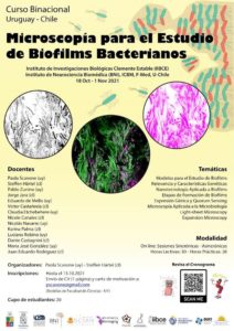 Curso Binacional Uruguay –  Chile, “Microscopía para el Estudio de Biofilms Bacterianos”