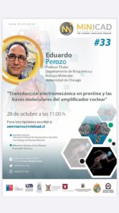 Seminario : «Transducción Electromecánica en Prestina y las Bases Moleculares del Amplificador Coclear»