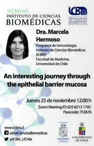 Webinar: “An interesting journey through the epithelial barrier mucosa»