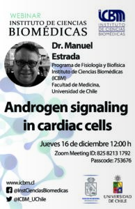 Webinar ICBM : “Androgen signaling in cardiac cells»