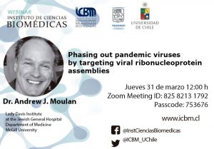 Webinar: “Phasing out pandemic viruses by targeting viral ribonucleoprotein assemblies»