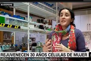 Rejuvenecimiento celular-CNN Chile-Dra. Mónica Cáceres-ICBM