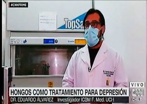 Hongos como tratamiento para depresión-CNN Chile-Dr.Eduardo Álvarez-ICBM