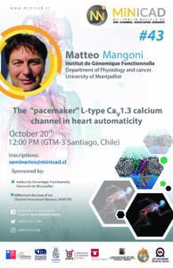 Webinar: The «pacemaker» L-type Ca 1.3 calcium  channel in heart automaticity