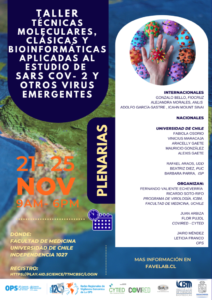 Taller Técnicas Moleculares clásicas y bioinformáticas aplicadas al estudio de SARS-COV-2 y otros virus emergentes