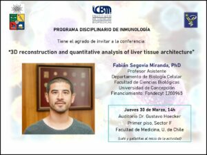 Conferencia: «3D reconstruction and quantitative analysis of liver tissue architecture»