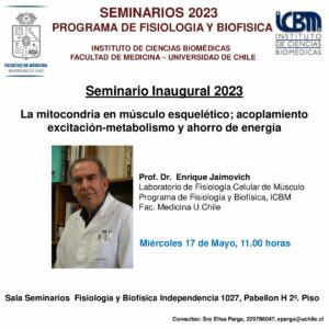 Seminario: “La mitocondria en músculo esquelético; acoplamiento excitación-metabolismo y ahorro de energía”