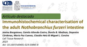 Publicación destacada, Grupo de Investigación Dr. Miguel Concha