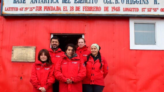 Desde la alerta por gripe aviar hasta la búsqueda de fósiles: Los proyectos U. de Chile en la Antártica de este verano
