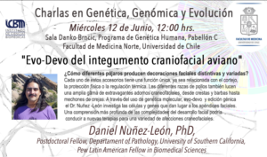 Seminario Programa de Genética Humana – 12 junio 2024 – “Evo-Devo del integumento cranial aviano» – Dr. Daniel Nuñez-León