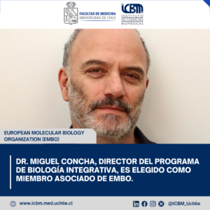 Dr. Miguel Concha, Director del Programa de Biología Integrativa, es elegido como miembro asociado de EMBO.