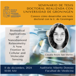 Seminario Claudia Reyes San Martin -UGroningen